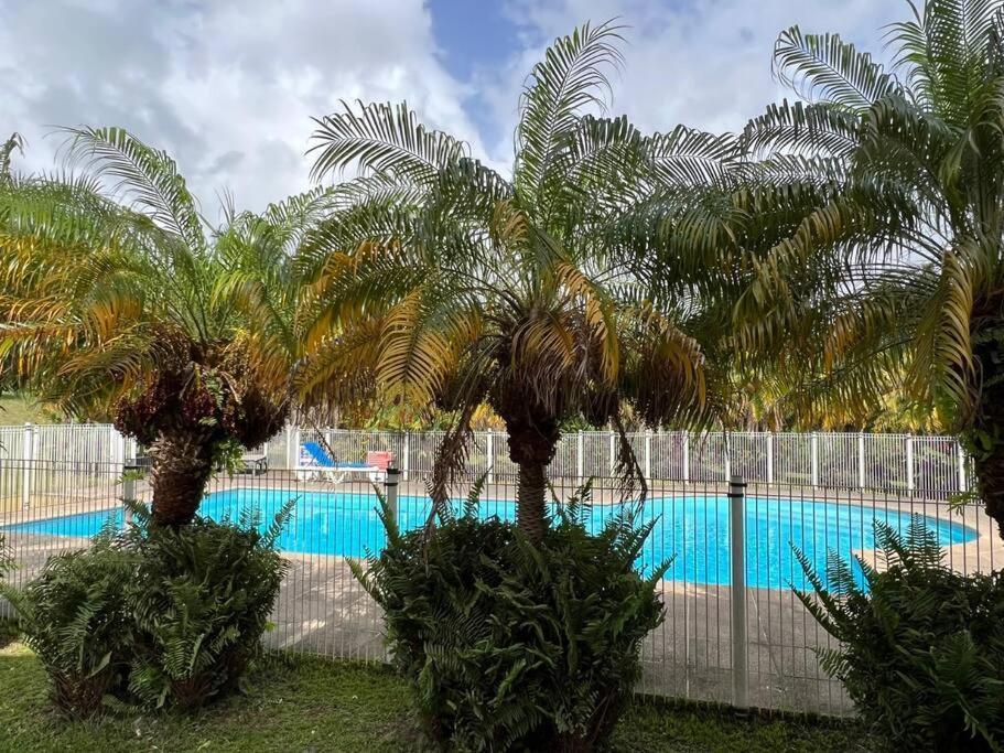Kanoa Lodge Piscine Et Vue Mer Saint-Claude Kültér fotó