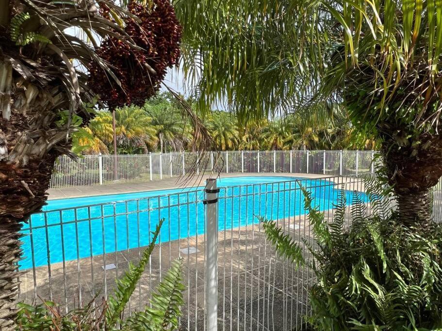 Kanoa Lodge Piscine Et Vue Mer Saint-Claude Kültér fotó